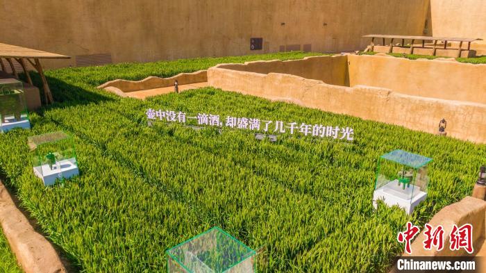 麦田里的展品。　河南省文化和旅游厅供图